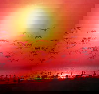 TINH and LAN Vietnamese Restaurant - Restaurant Canberra