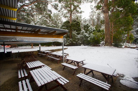 Waterfalls Cafe & Gallery - Restaurant Canberra 0