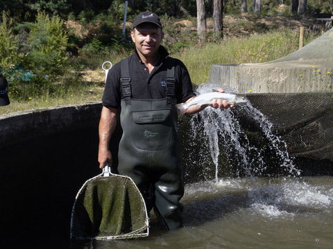 41 Degrees South Tasmania - Restaurant Canberra 0