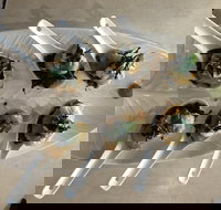 Cudgen Surf Club Bar  Bistro - Restaurant Canberra