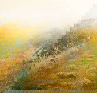 Poonawatta - Restaurant Canberra