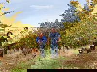 WayWood Wines