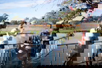 Balnaves of Coonawarra