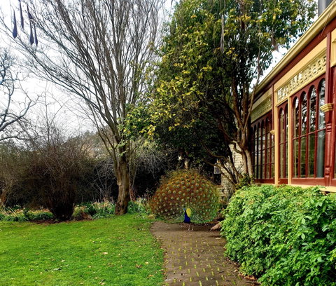 Glen Derwent Tea Rooms - Restaurant Canberra 0