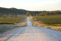 Stone Bridge Wines