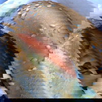 Heidelberg Fish  Chip Shop