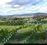 Sassy Wines - Restaurant Canberra