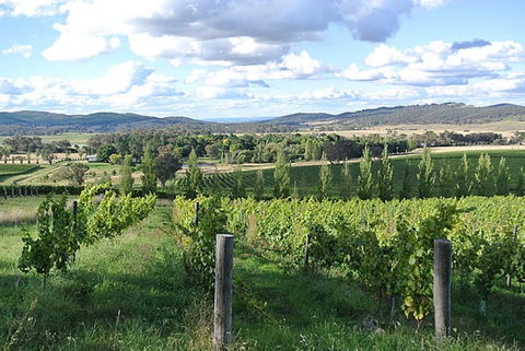 Sassy Wines - Restaurant Canberra 0