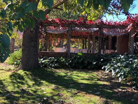 The Pressing Shed Cafe & Restaurant At Nullamunjie Olive Groves - Restaurant Canberra 1