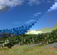 Freycinet Vineyard - Restaurant Canberra