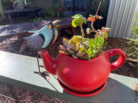 The Coffee Bank - Restaurant Canberra 1