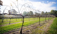 Long Point Vineyard and Art Gallery