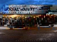 Social Bandit Brewing Co