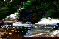 Dover Takeaway and Dover Restaurant Canberra Restaurant Canberra