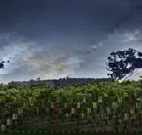 Dalrymple Vineyards - Restaurant Canberra