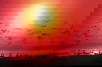 Darwin Takeaway and Darwin Restaurant Canberra Restaurant Canberra