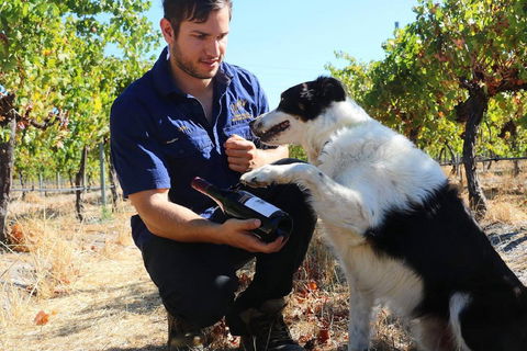Garbin Estate Wines - Restaurant Canberra 1
