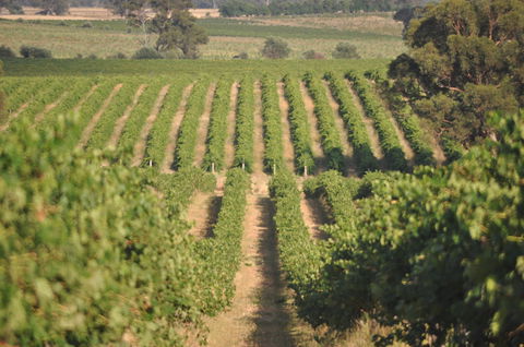 John Gehrig Wines Rutherglen - Restaurant Canberra 2