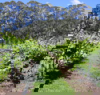 Woongooroo Estate Winery - Restaurant Canberra