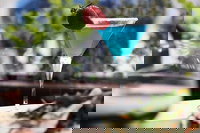 Terrazza Restaurant  Bar