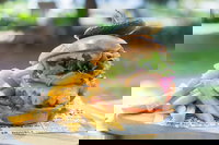 The Hungry Peacock and The Busy Peacock