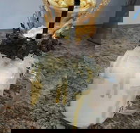 Breeze Bistro - Restaurant Canberra