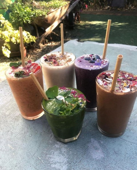 Garden Grub Cafe - Restaurant Canberra 0