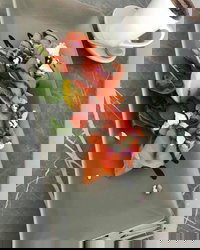 KALV  Co. Cafe and Wine Bar