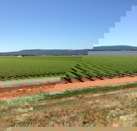 Melange Wines - Restaurant Canberra