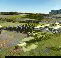 Montalto - Restaurant Canberra