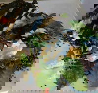 Morning Star Hotel - Restaurant Canberra