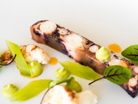 The Wild Herring