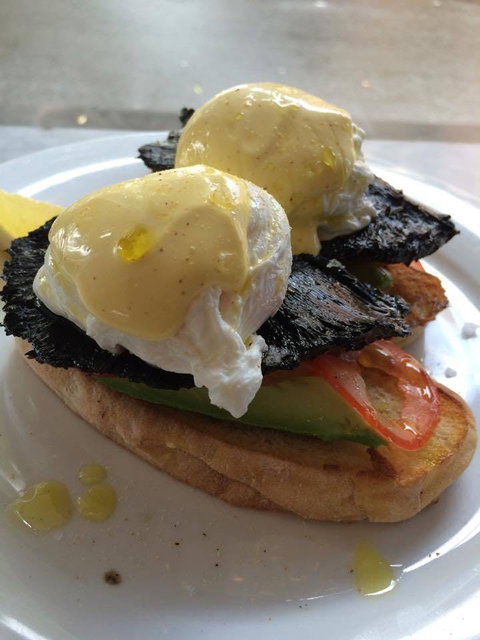 Bacino Bar - North Curl Curl - Restaurant Canberra 0