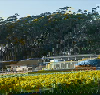 Moores Hill Estate - Restaurant Canberra