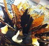 Daily Dose Cafe Wine Bar - Restaurant Canberra