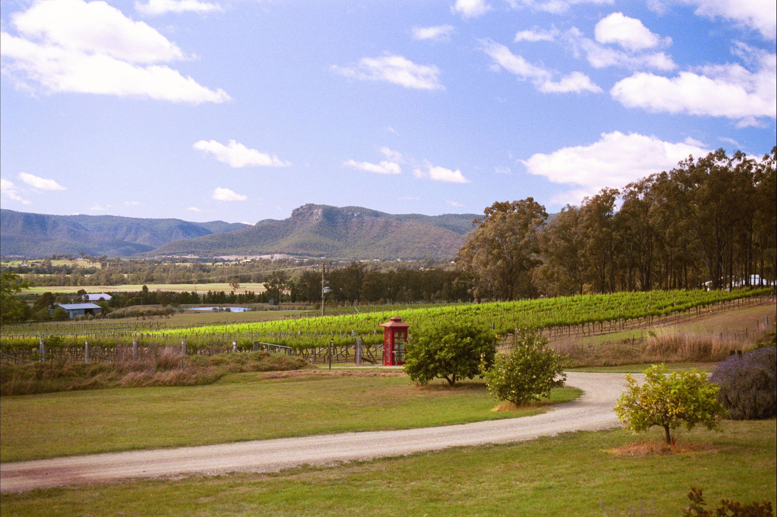 Fordwich NSW Restaurant Canberra