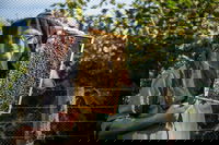 Pure Peninsula Honey