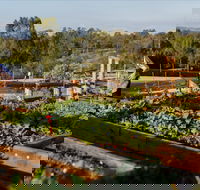 Homage - Restaurant Canberra