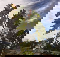 Banca Ridge Cellar Door and Vineyard - Restaurant Canberra