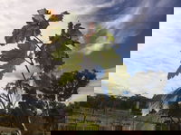 Banca Ridge Cellar Door and Vineyard