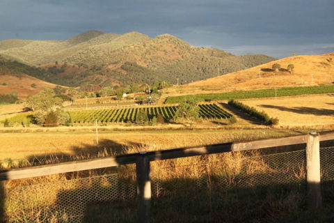 Optimiste Wines - Restaurant Canberra 0