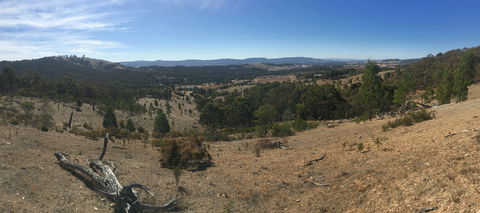 Peerick Vineyard And Winery - Restaurant Canberra 2