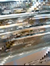 Glasshouse Mtn Coffee Co