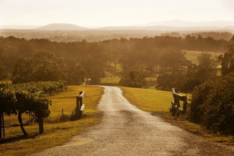 Petersons Wines - Restaurant Canberra 0