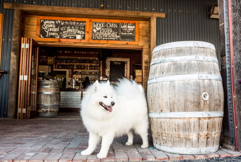 Smiling Samoyed Brewery - Restaurant Canberra 0