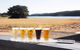 Smiling Samoyed Brewery - thumb 1
