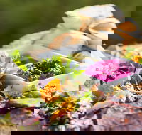 Australian Arid Lands Botanic Garden - Bluebush Cafe - Restaurant Canberra