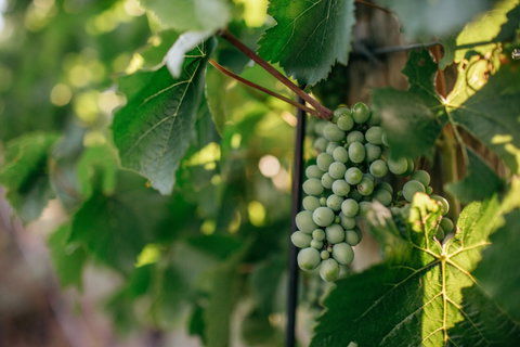 Paramoor Winery - Restaurant Canberra 1