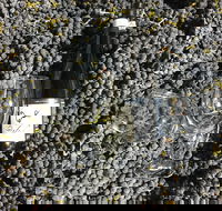 Tobin Wines - Restaurant Canberra