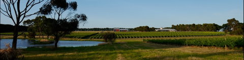 McGlashans Wallington Estate - Restaurant Canberra 0